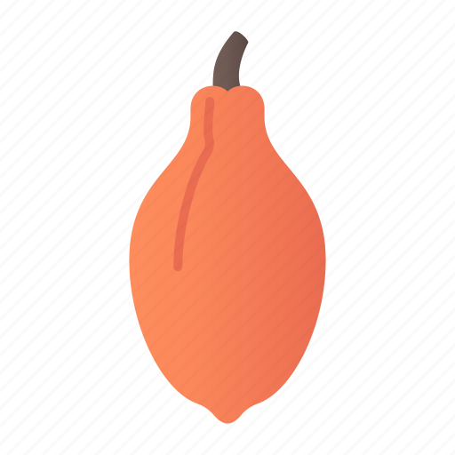 Papaya, fruit, food, vegetarian icon - Download on Iconfinder
