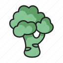 broccoli, vegetable, food, vegetarian