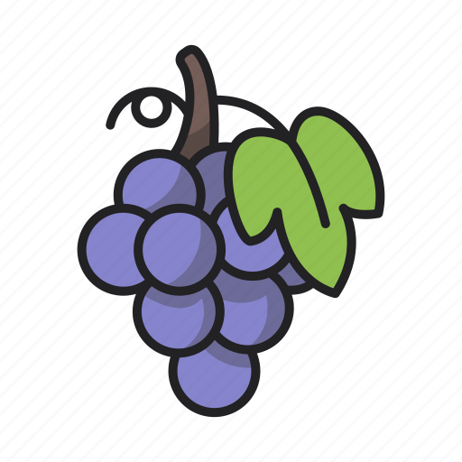 Grapes, fruit, food, vegetarian icon - Download on Iconfinder