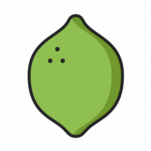 Lime, vegan, fruit, food icon - Download on Iconfinder