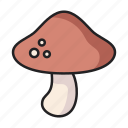 mushroom, fungi, food, vegetarian