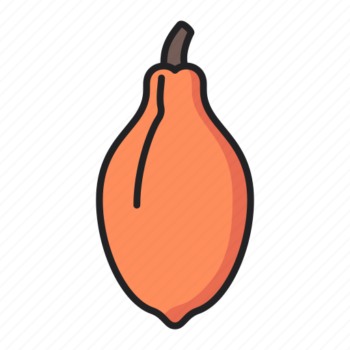Papaya, fruit, food, vegetarian icon - Download on Iconfinder