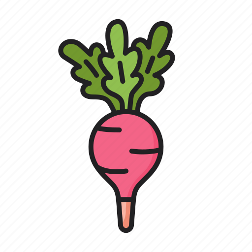 Radish, vegan, vegetable, food icon - Download on Iconfinder