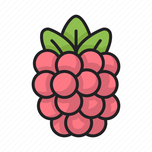 Raspberry, fruit, food, vegetarian icon - Download on Iconfinder