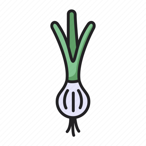 Spring, onion, sacllion, vegetable, food icon - Download on Iconfinder