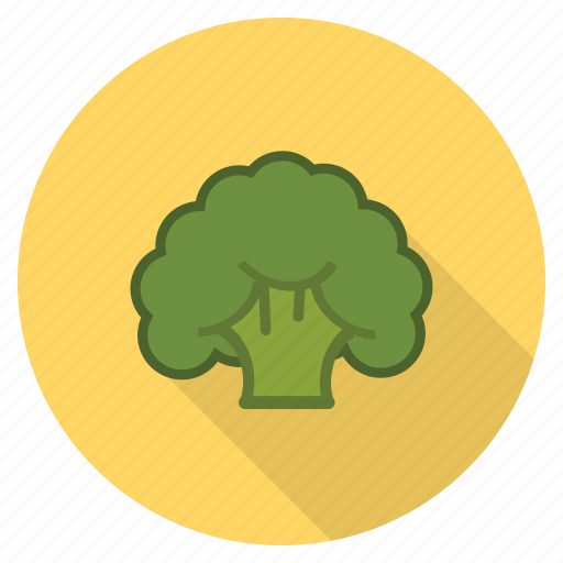 Broccoli, food, fresh, healthy, vegetable, veggie icon - Download on Iconfinder