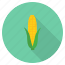 corn, food, fresh, healthy, staple, sweet, vegetable