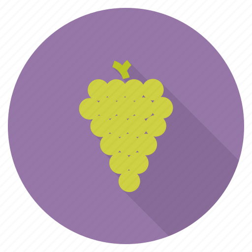 Food, fruit, grapes, green, healthy, wine, eat icon - Download on Iconfinder