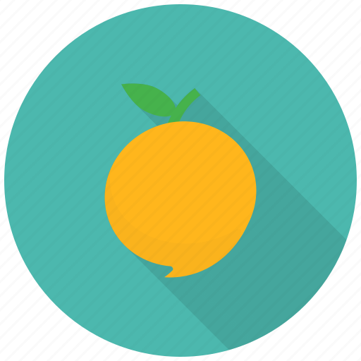 Food, fruit, healthy, mango, vitamins, juicy, pulp icon - Download on Iconfinder