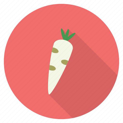 Food, fruit, healthy, radish, vegetable, eat icon - Download on Iconfinder