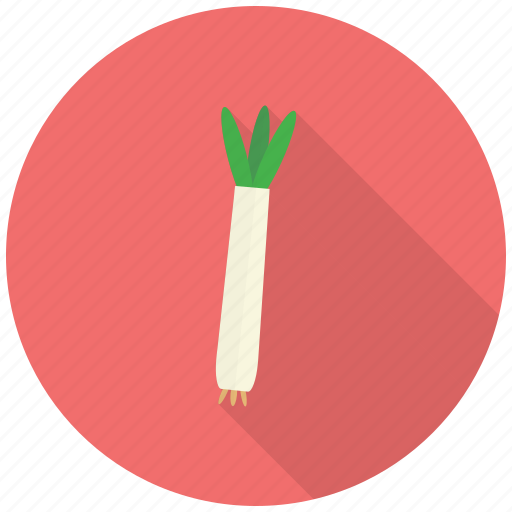 Food, fresh, healthy, onion, spring, vegetable, eat icon - Download on Iconfinder
