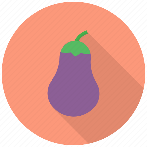 Eggplant, food, fresh, healthy, vegetable, brinjal, eat icon - Download on Iconfinder