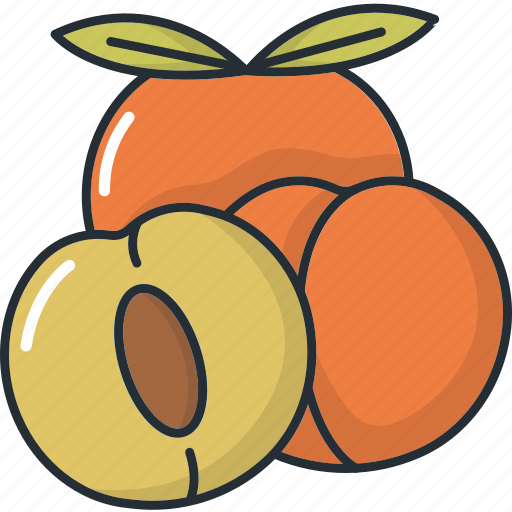 Cooking, food, fruit, fruits, healthy, kitchen, peach icon - Download on Iconfinder