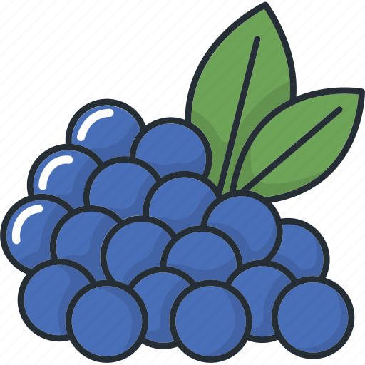 Blueberries, cooking, food, fruit, fruits, organic, tropical icon - Download on Iconfinder
