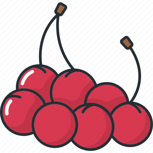 Cherries, fruit, fruits, healthy, organic, sweet, vegetable icon - Download on Iconfinder