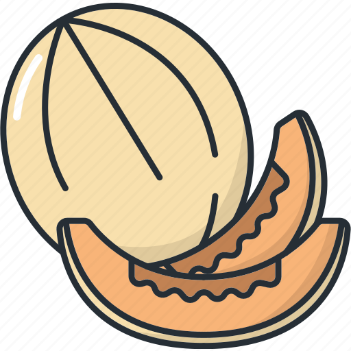 Food, fruit, fruits, healthy, juice, melon icon - Download on Iconfinder
