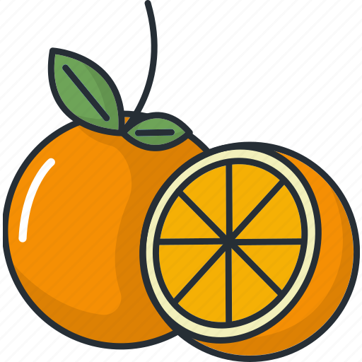 Cooking, food, fruit, fruits, healthy, juice, orange icon - Download on Iconfinder