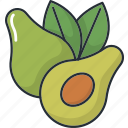 avocado, cooking, food, fruit, fruits, kitchen, restaurant