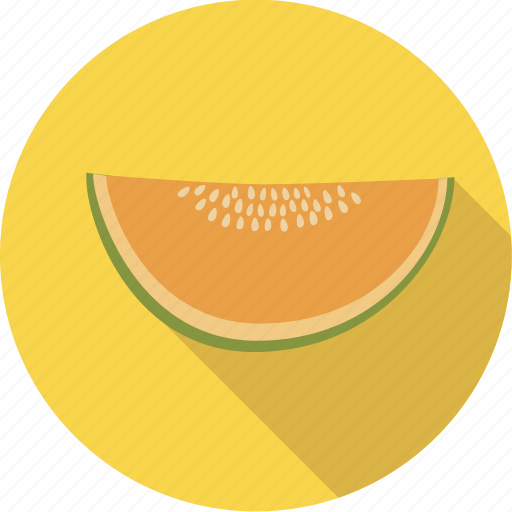 Food, melon, organic, fruit, honeymelon icon - Download on Iconfinder