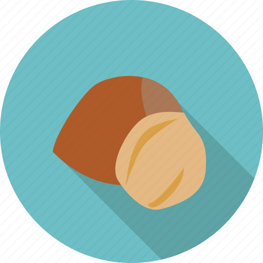 Nut, organic, hazelnut, food, fruit icon - Download on Iconfinder