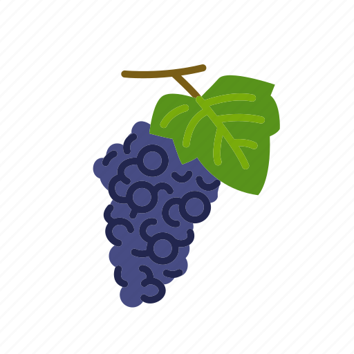 Fruit, grape, grape vine, grapes, organic, wine icon - Download on Iconfinder