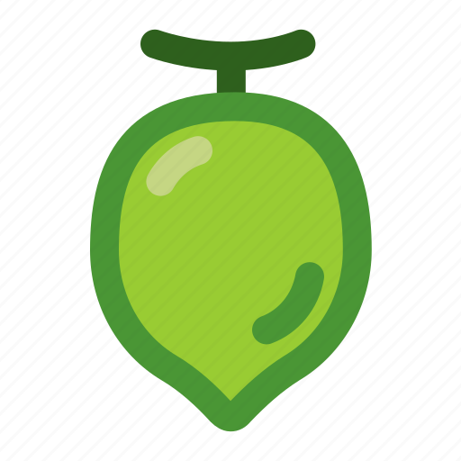 Coconut, coconutwater, fruits, green icon - Download on Iconfinder