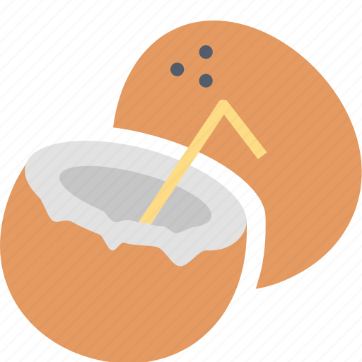 Coconut, cooking, food, fruit, kitchen, relax, resort icon - Download on Iconfinder