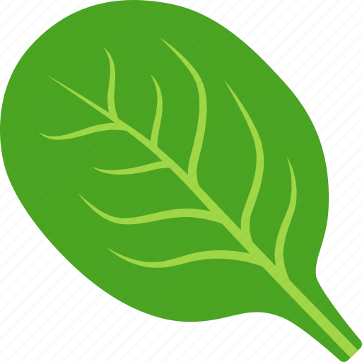 Green, leaf, spanich, spinach, vegan, vegetable, vegetarian icon - Download on Iconfinder