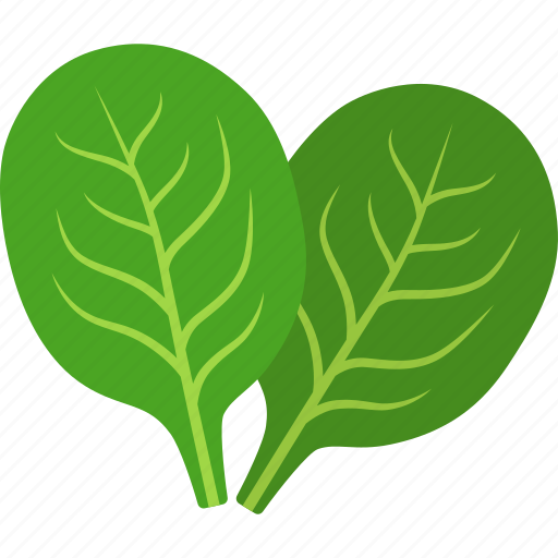 Green, leaf, leaves, spinach, vegan, vegetable, vegetarian icon - Download on Iconfinder