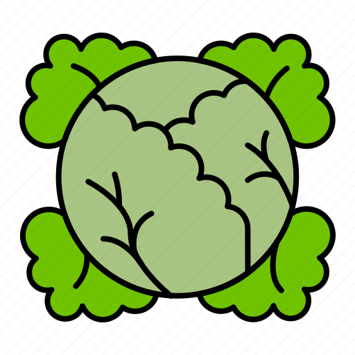Cabbage, food, vegetables icon - Download on Iconfinder