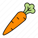carrot, food, vegetables