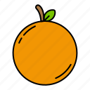 tangerine, food, fruit
