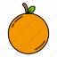 tangerine, food, fruit 