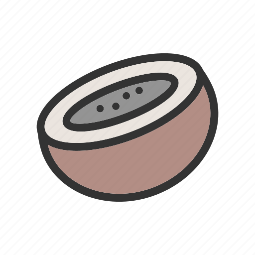 Coconut, food, fresh, fruit, healthy, tropical, white icon - Download on Iconfinder