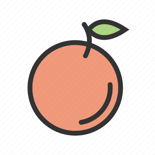 Citrus, food, fruit, mandarin, mandarine, orange, organic icon - Download on Iconfinder
