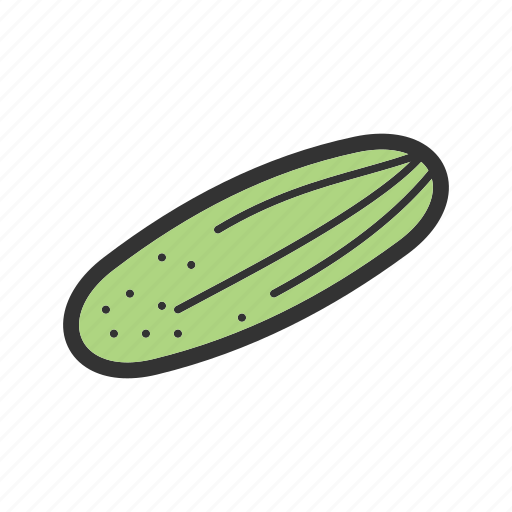 Cucumber, food, fresh, green, healthy, vegetable icon - Download on Iconfinder