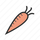 carrot, food, fresh, green, healthy, natural, vegetable 