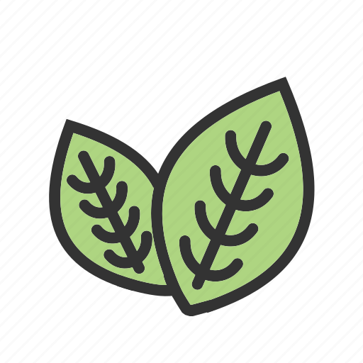 Fresh, green, ingredient, leaf, mint, peppermint, spearmint icon - Download on Iconfinder