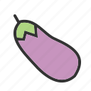 eggplant, food, fresh, fruit, healthy, organic, vegetable 