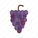 bunch, food, grape, grapes, nature, red, ripe
