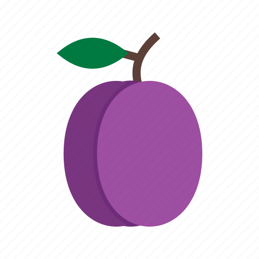 Food, fresh, fruit, plum, plums, purple icon - Download on Iconfinder