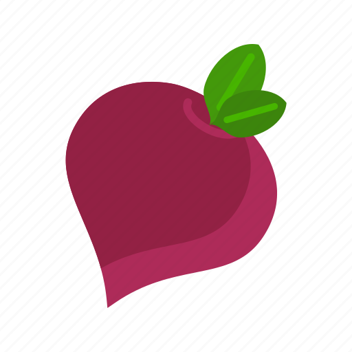 Beet, food, fresh, healthy, organic, red, slice icon - Download on Iconfinder