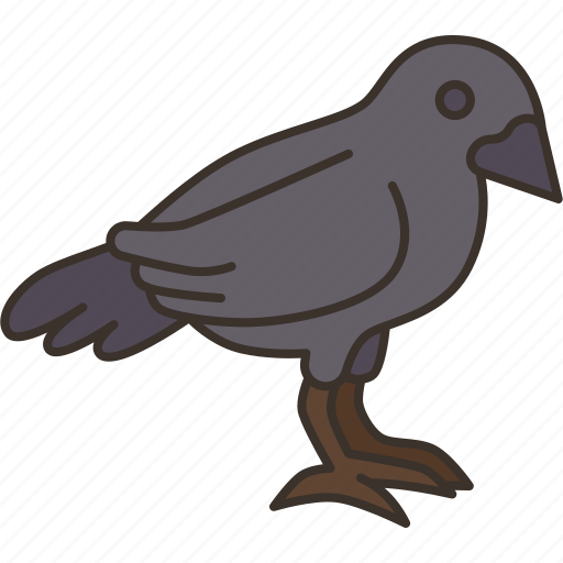 Crow, bird, creepy, scary, mystery icon - Download on Iconfinder