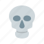 dead, face, head, human, skeleton, skull, teeth 