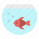 aquarium, bowl, fish, goldfish, pet