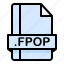file, file extension, file format, file type, fpop 