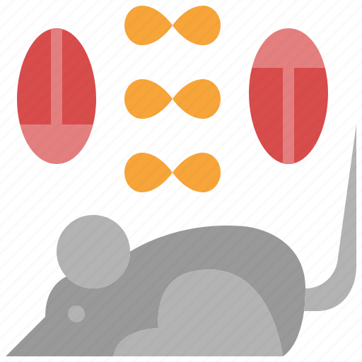 Pest, mouse, fly, cockroach, insect, animal, control icon - Download on Iconfinder