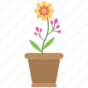 colors, flower pot, flowers, pot, soil