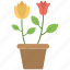 brown pot, flower pot, multi color, pot 