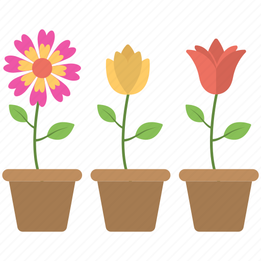 Colorful flowers, flower pot, flowers, pot, three pots icon - Download on Iconfinder